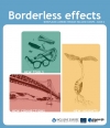 Borderless Effects